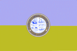 Flag of Carson, California